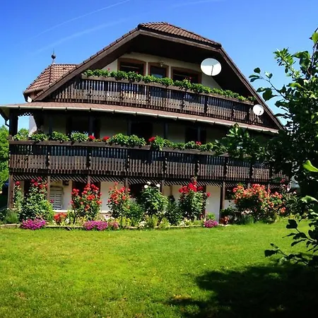 Apartment Rozsahaz *
